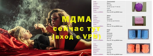 стаф Алексин