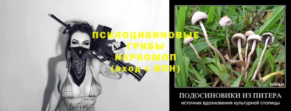 стаф Алексин