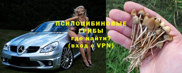 стаф Алексин