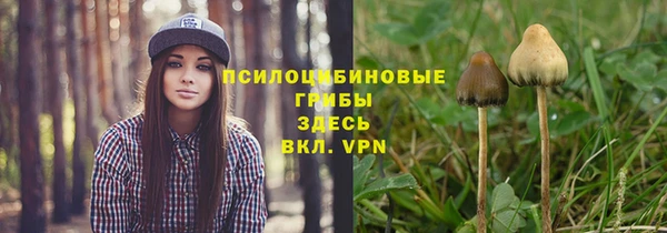 стаф Алексин