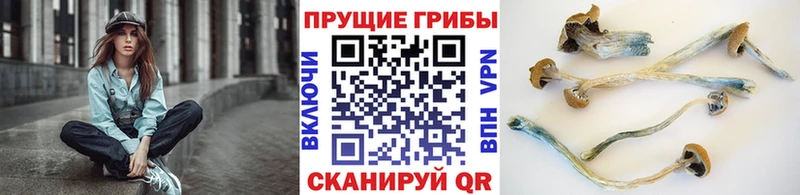 Галлюциногенные грибы Magic Shrooms  где купить наркотик  Сасово 